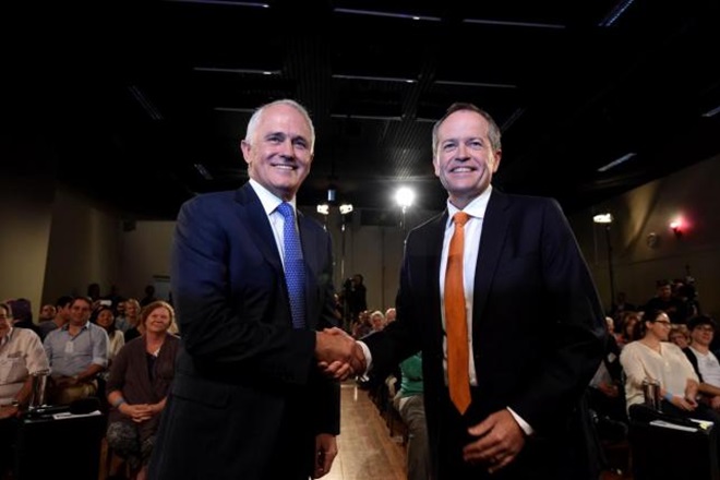 turnbull shorten