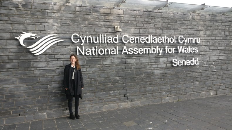 Welsh Assembly